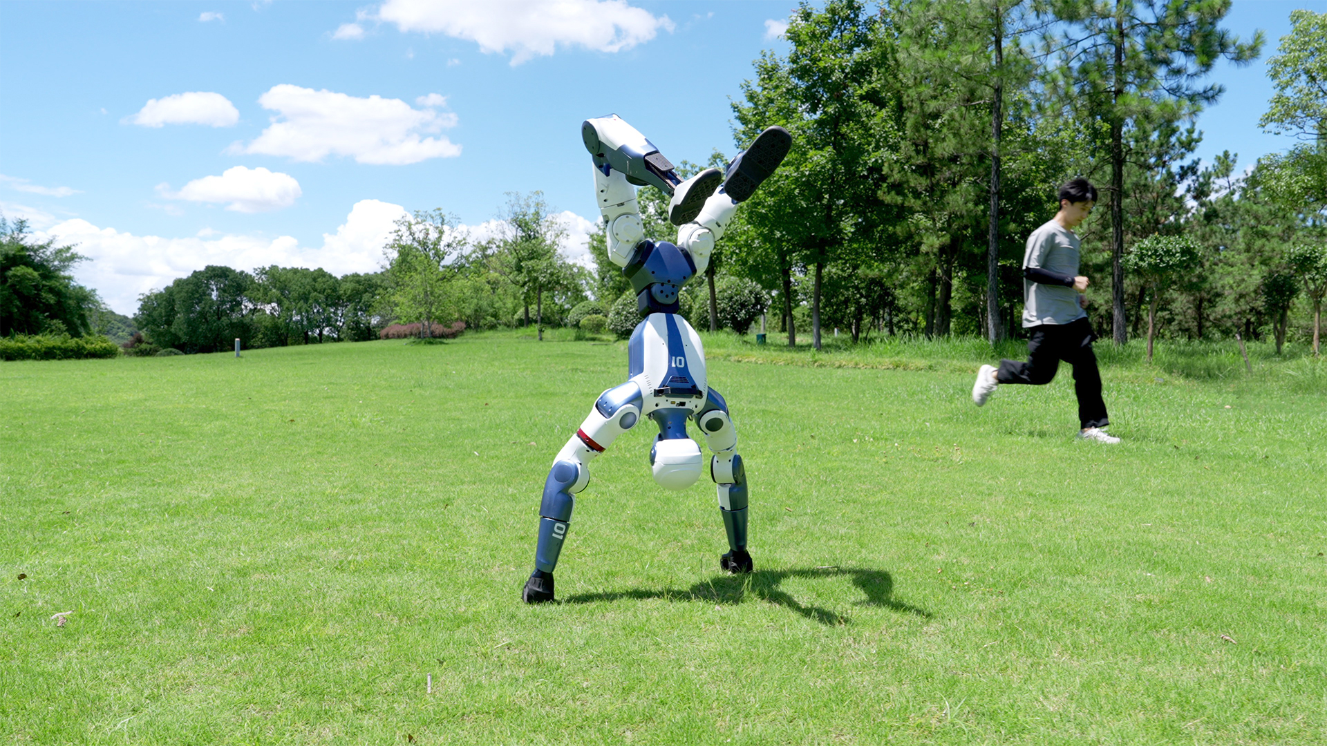 人形机器人R1 图片5