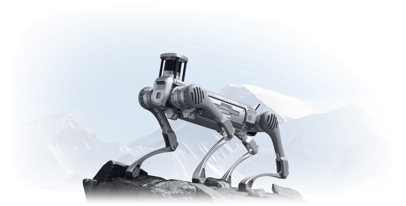 四足机器人B2 图片1