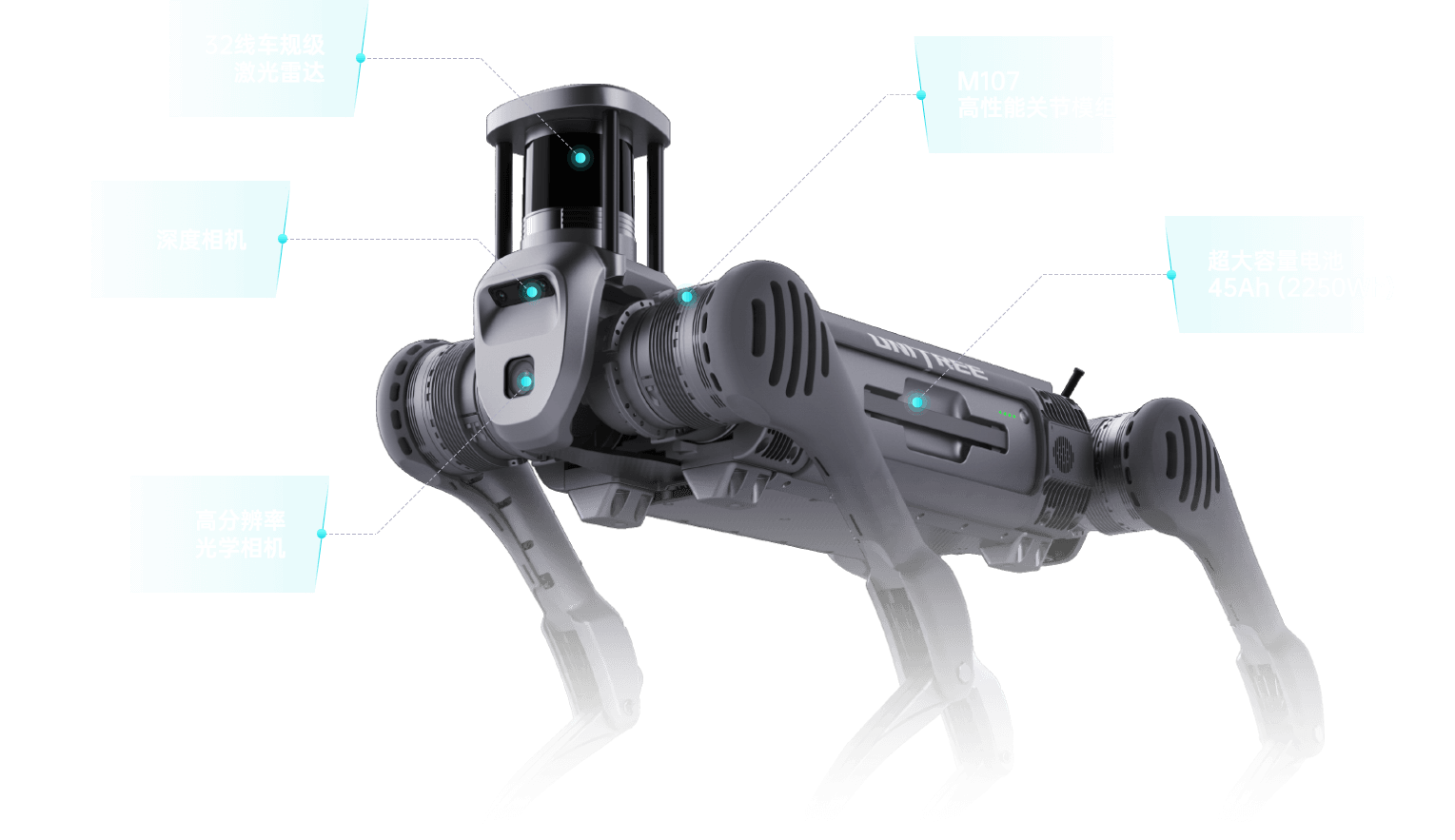 四足机器人B2 图片3