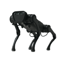 四足机器人B1 图片1