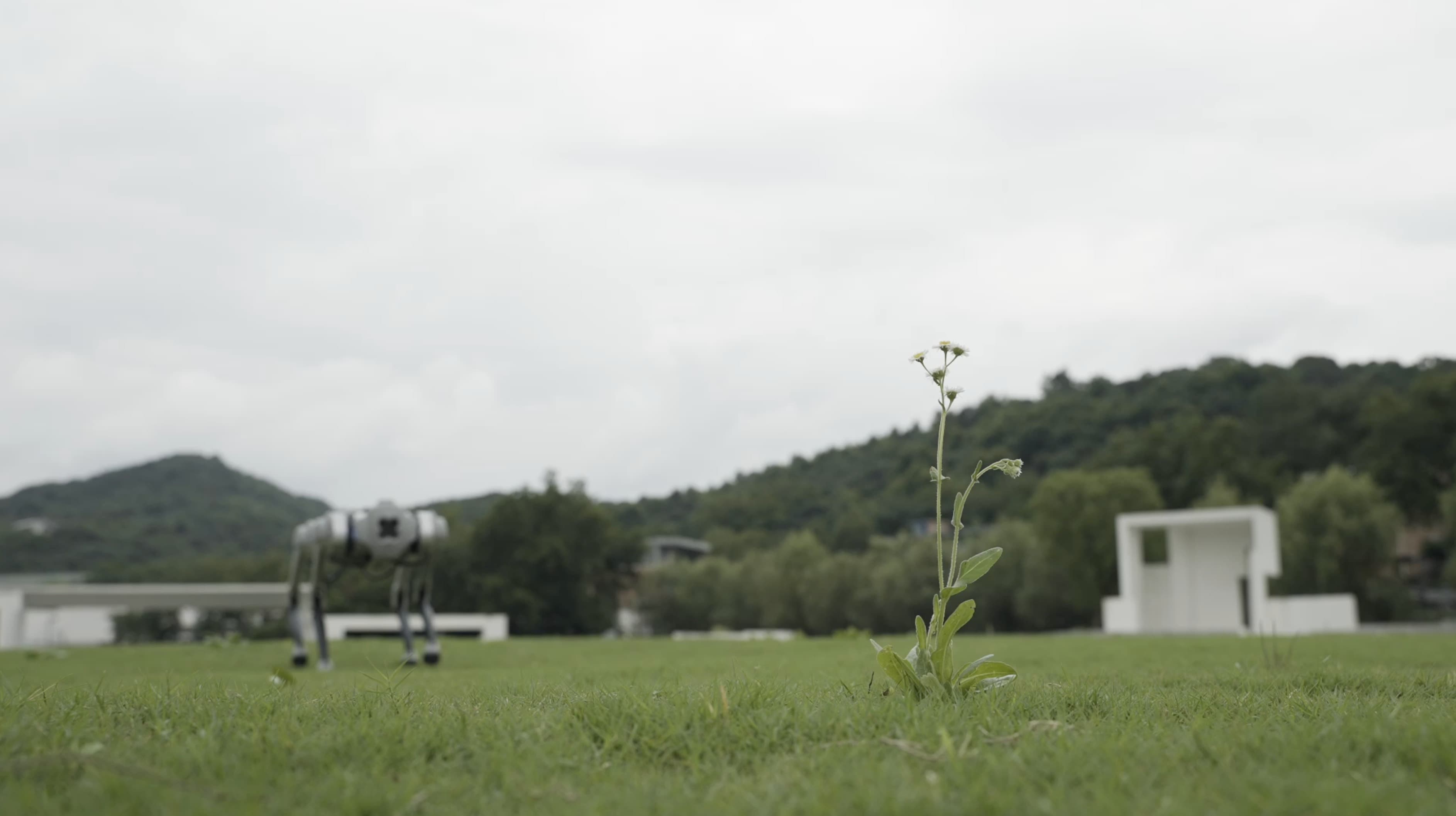 四足机器人Go1 高清图片8